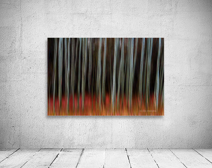 Whispers of Shadowed Light Fine Art Forest Motion Photography Wall Preview