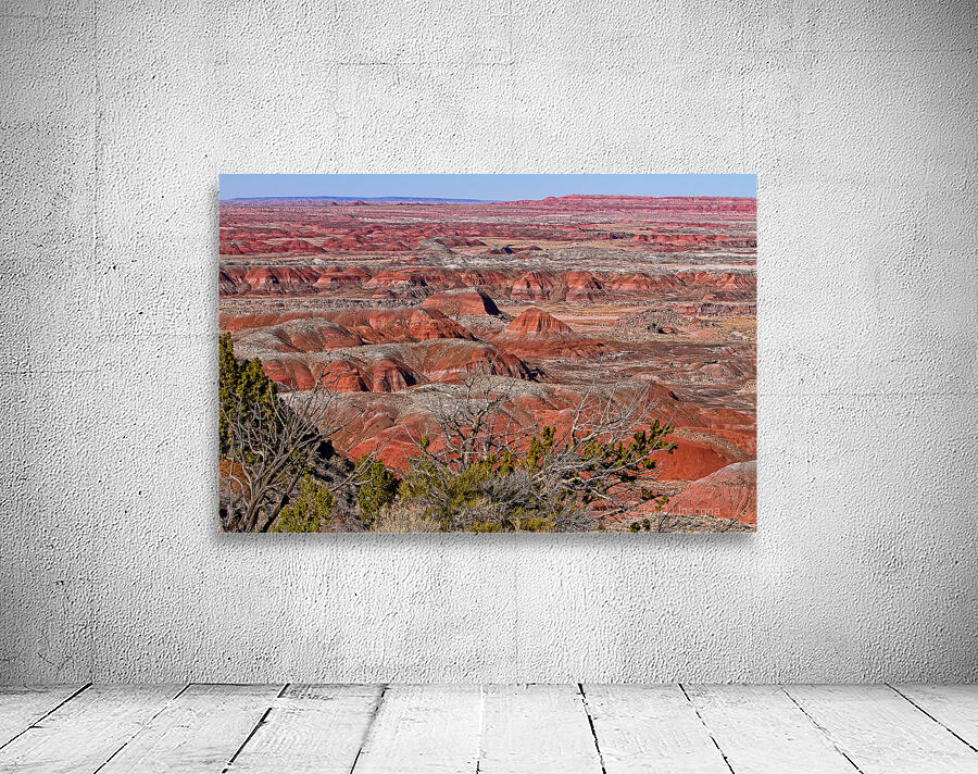 Painted Desert Horizons Arizona Wall Preview