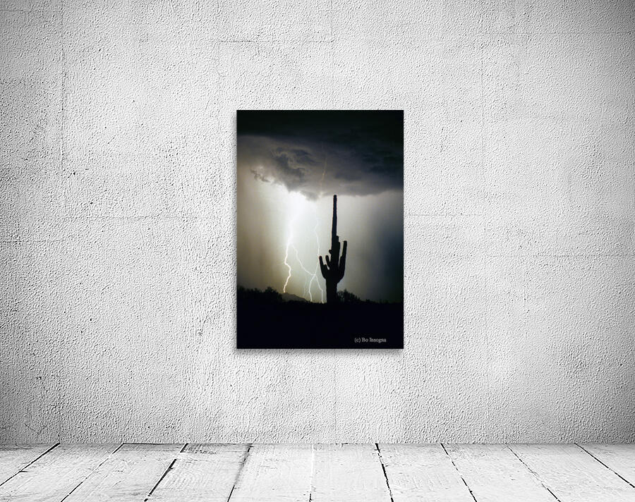 Lightning Swirl Saguaro Cactus Highlands Wall Preview