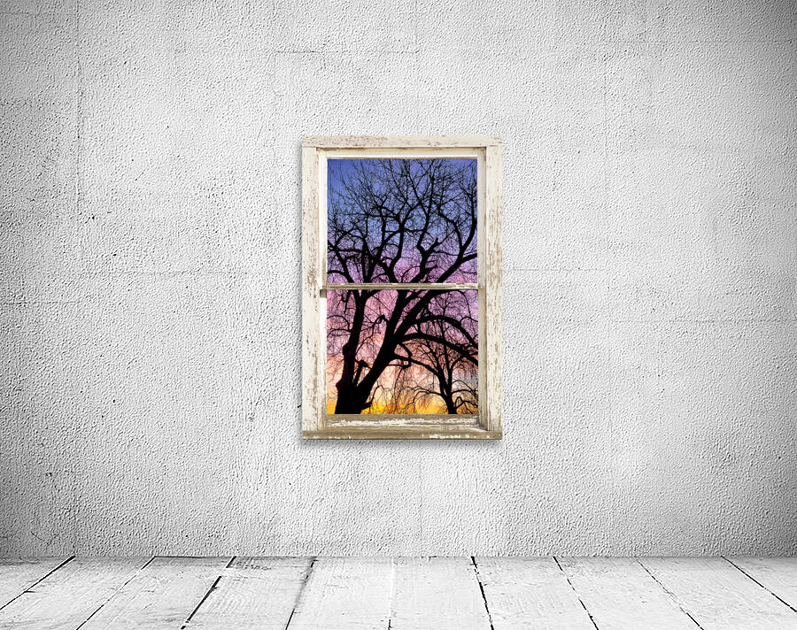 Colorful Tree White Farm House Window Portrai Aperçu sur mur