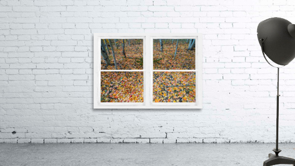 Mother Nature Whitewash Picture Window View Wall Preview