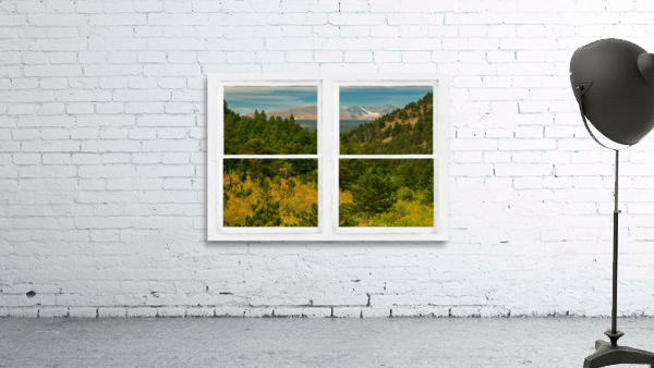 Rocky Mountain Whitewash Picture Window View Wall Preview