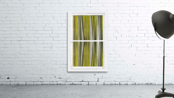 Surreal Dreamy Aspen Forest White Rustic Window Wall Preview