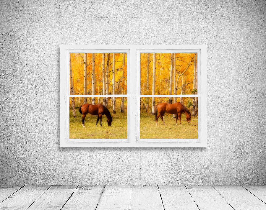 2 Horses Aspen Trees Whitewash Picture Window Wall Preview