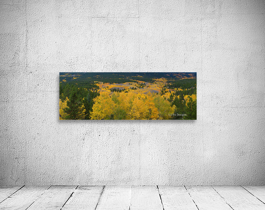 Colorado Autumn Panorama colorful Wall Preview