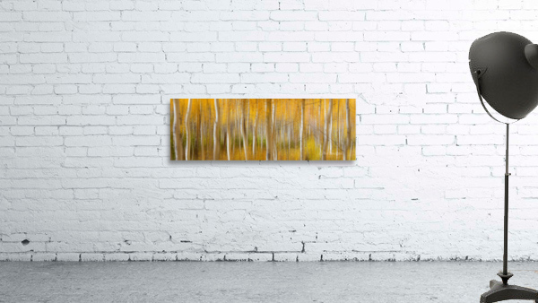 Golden Forest Moment Abstract Panorama Wall Preview