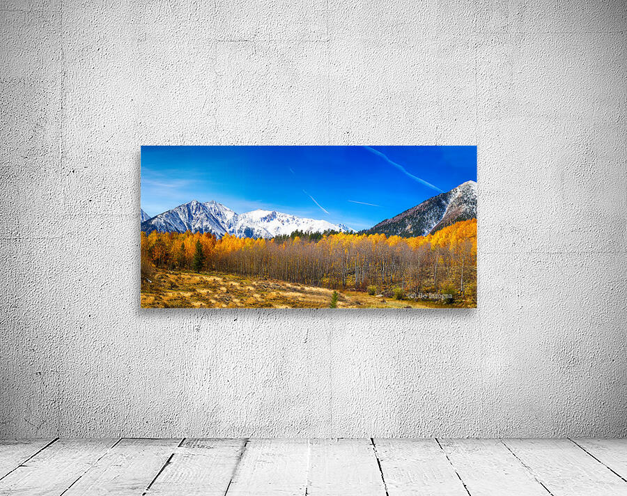 Colorado Rocky Mountain Independence Pass Fall Pano Wall Preview