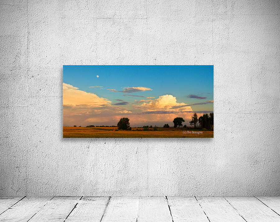 Thunderstorm  Front Moon Panoramic Wall Preview