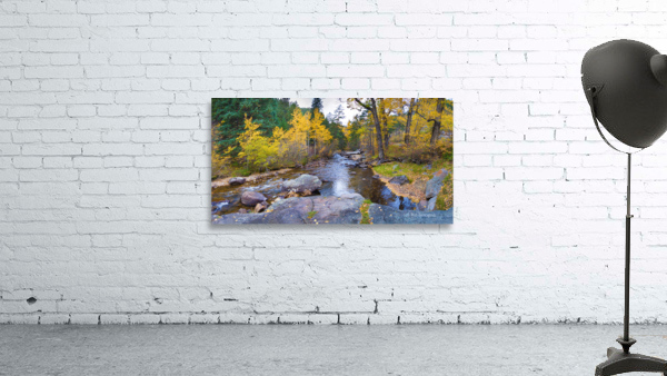 Colorado Autumn Creek Happy Place Panoramic Wall Preview