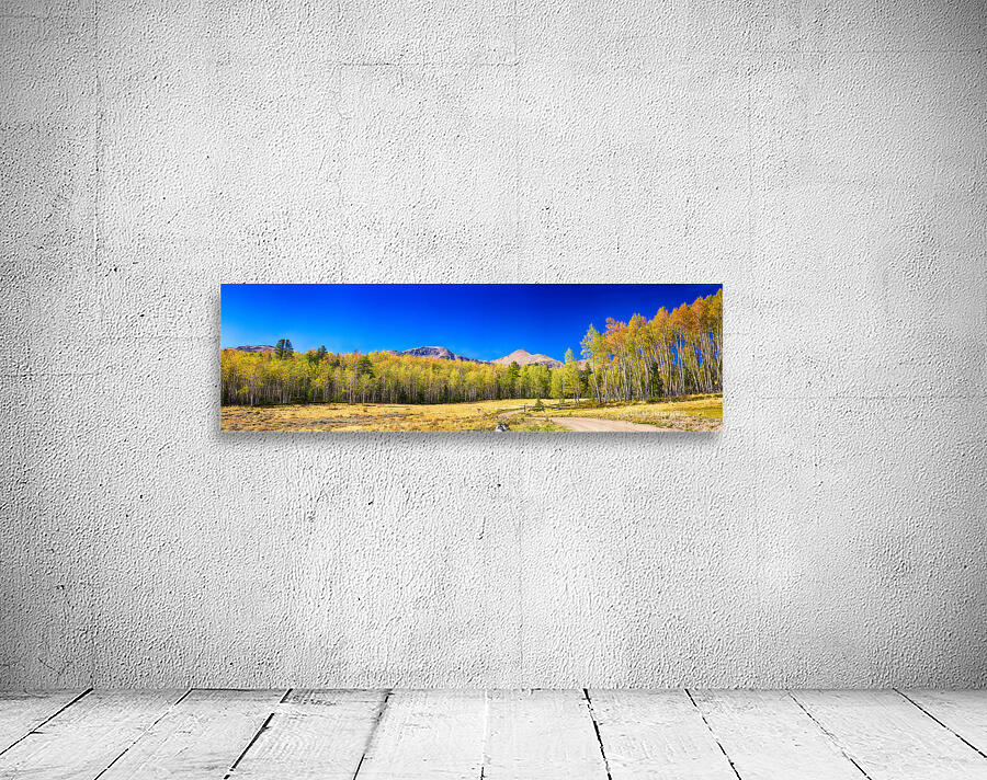 Panorama Autumn Bonanza Wall Preview