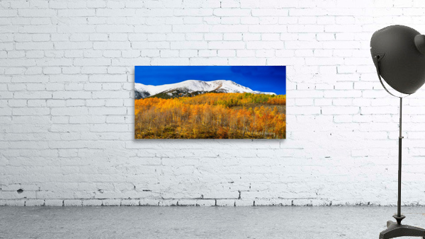 Colorado Rocky Mountain Independence Pass  Wall Preview