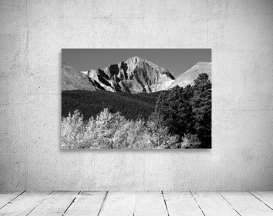 Longs Peak Autumn Aspen Landscape View BW Wall Preview