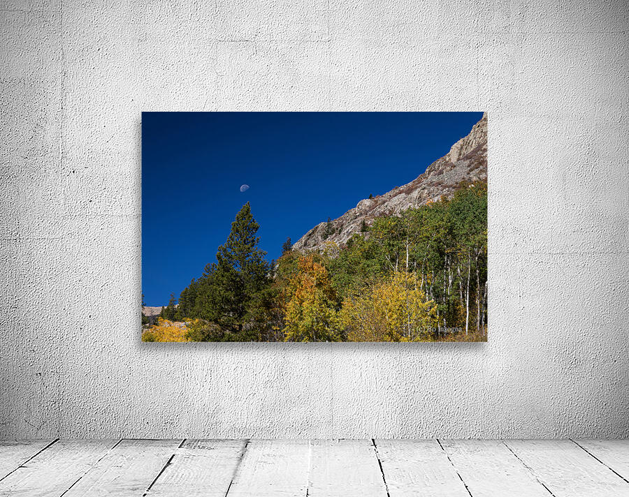 Autumn Bella Luna Wall Preview