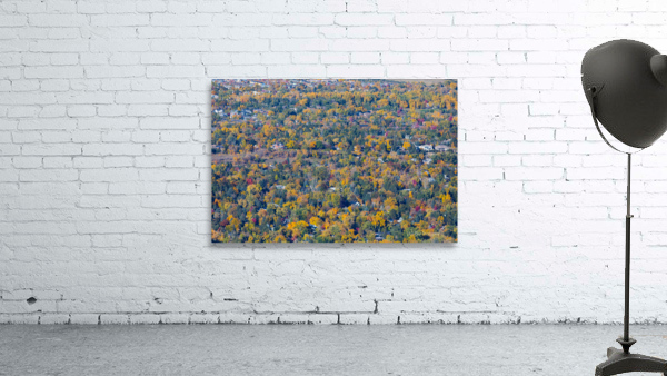 Fall Foliage Boulder Colorado Wall Preview