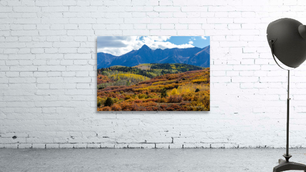 Colorado Color Bonanza Wall Preview