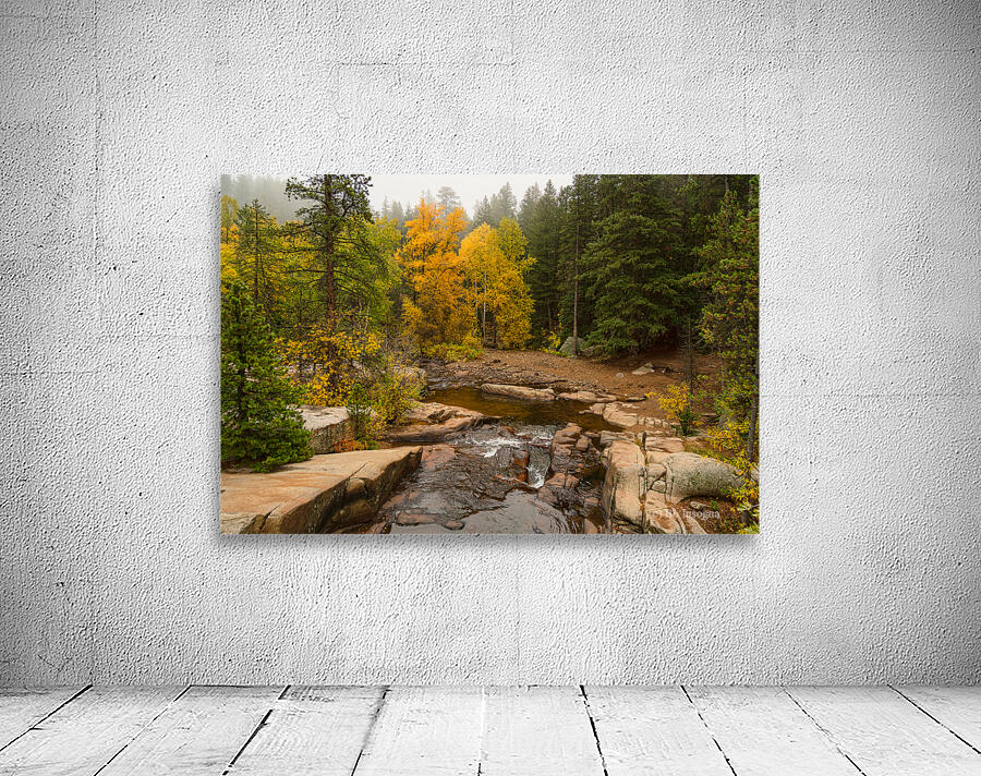 Downstream St Vrain Wall Preview