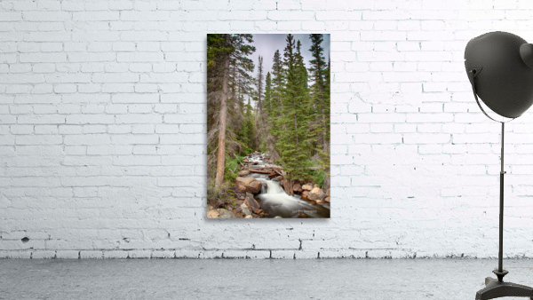 Colorado Rocky Mountain Flowing Stream Wall Preview