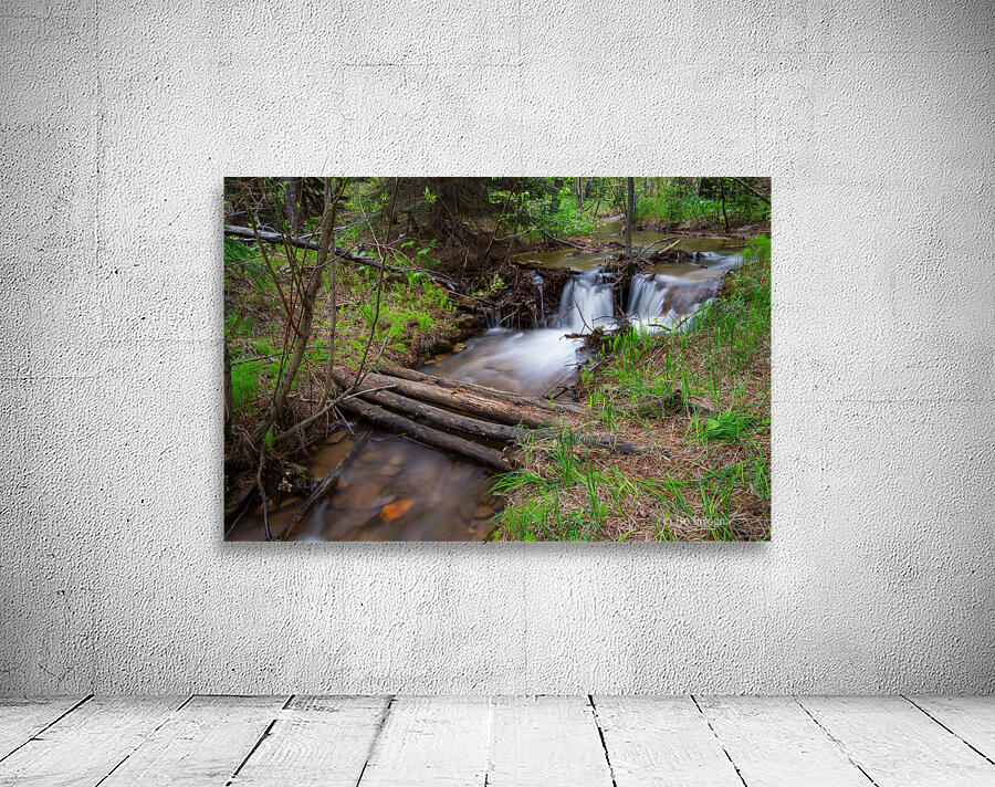 Creek Crossing Forest Woods Wall Preview