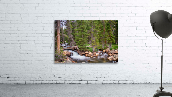 Colorado Rocky Mountain Forest Stream Wall Preview