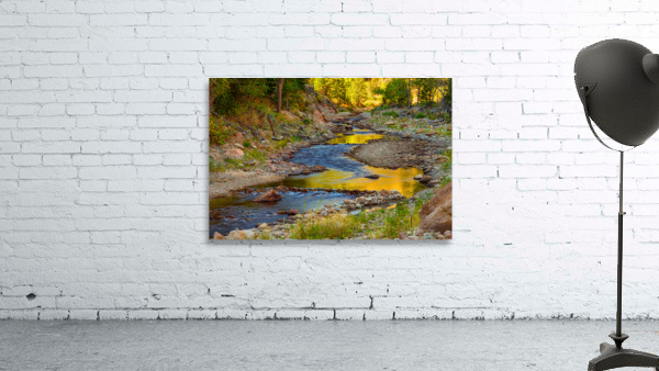 Golden Fishing Stream Wall Preview