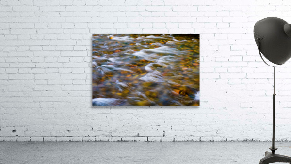 South Boulder Creek In Living Color Wall Preview