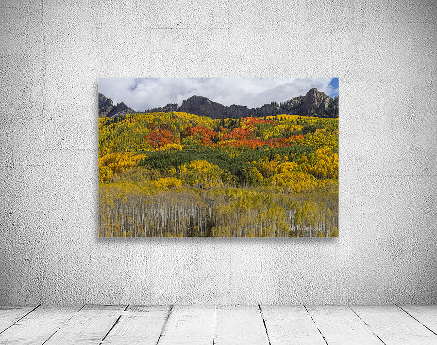 Colorado Kebler Pass Fall Foliage Wall Preview