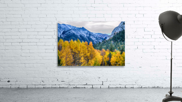 Colorful Crested Butte Colorado Wall Preview