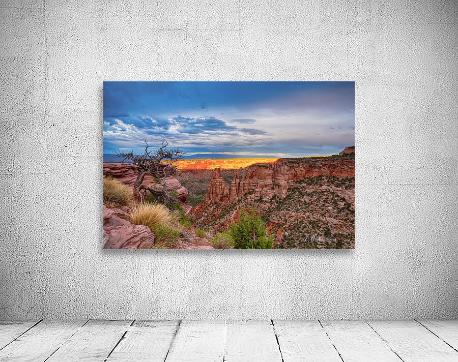 Colorado National Monument Burning Ridge  Wall Preview