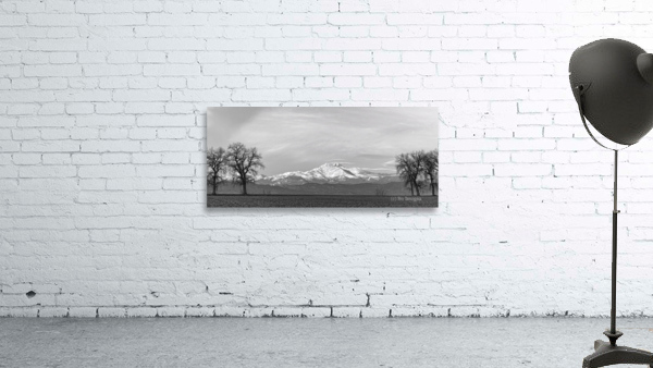 Twin Peaks Between The Trees BW Panorama Wall Preview