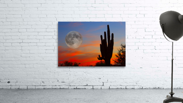 Full Moon Big Saguaro Sunset Wall Preview