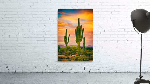 Arizona Life Wall Preview
