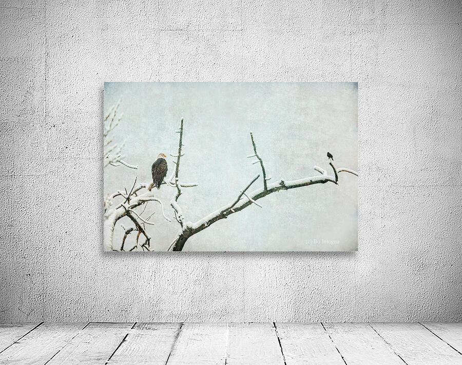 Bald Eagle Little Birdie Wall Preview