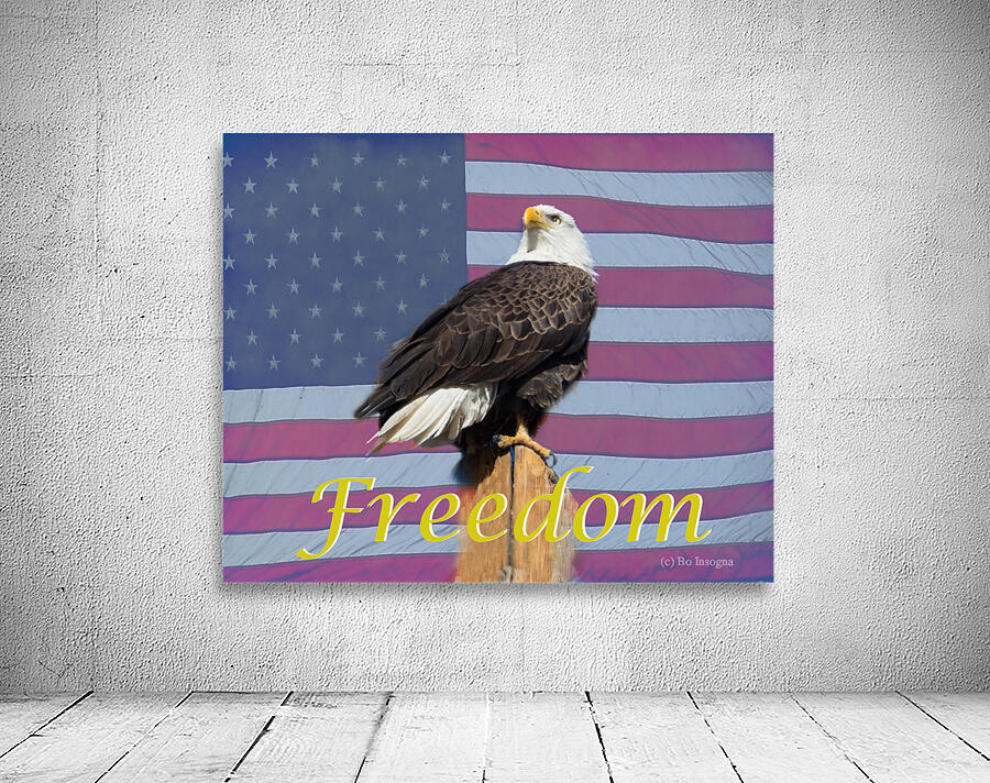 American Freedom Wall Preview