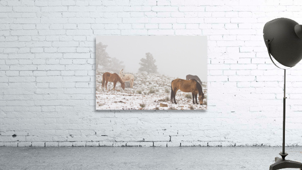 Horses Winter Snow Fog Wall Preview