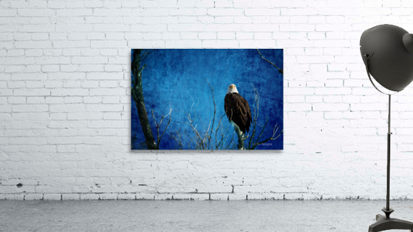 Bald Eagle Blues Into Night Wall Preview