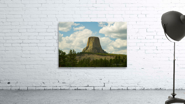 Majestic Devils Tower in Wyoming Amidst Pine Forest Wall Preview