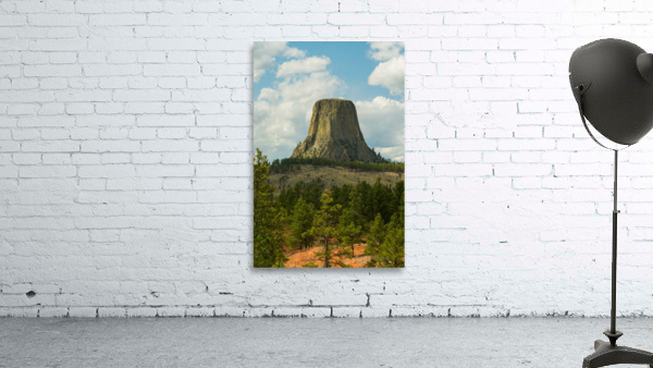 Majestic Devils Tower in Wyoming Surrounded by Pine Forest Wall Preview