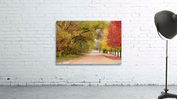 Autumns Country Retreat - A Canopy of Color Wall Preview