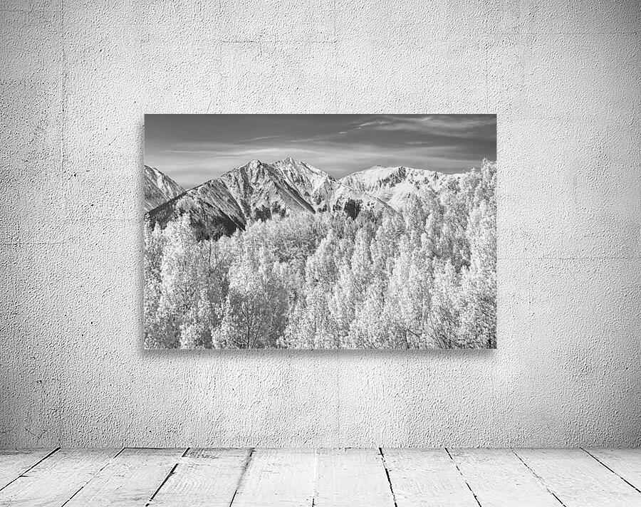 Colorado Rocky Mountain Autumn Beauty Black and White Wall Preview