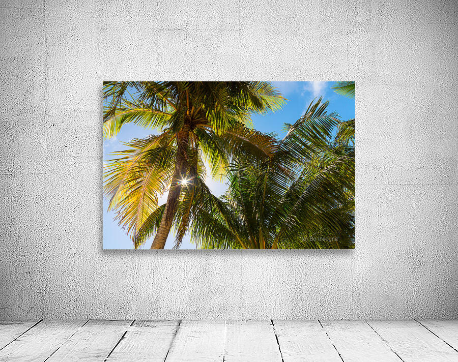 Reminiscent of a Tropical Paradise Wall Preview