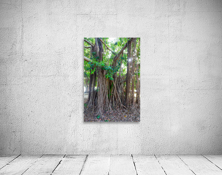 Majestic Magnificent Banyan Tree Portrait Wall Preview