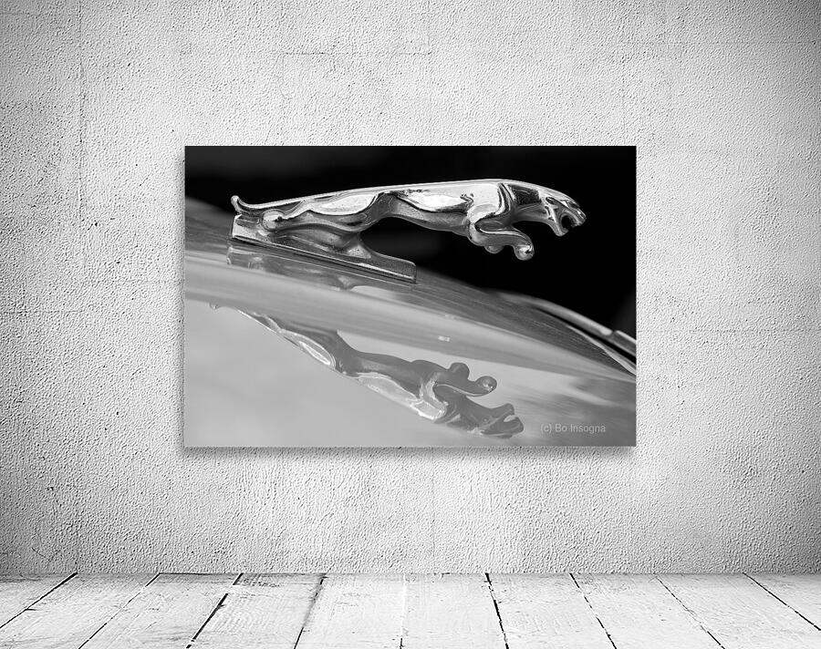 Jaguar Car Hood Ornament Reflection BW Wall Preview