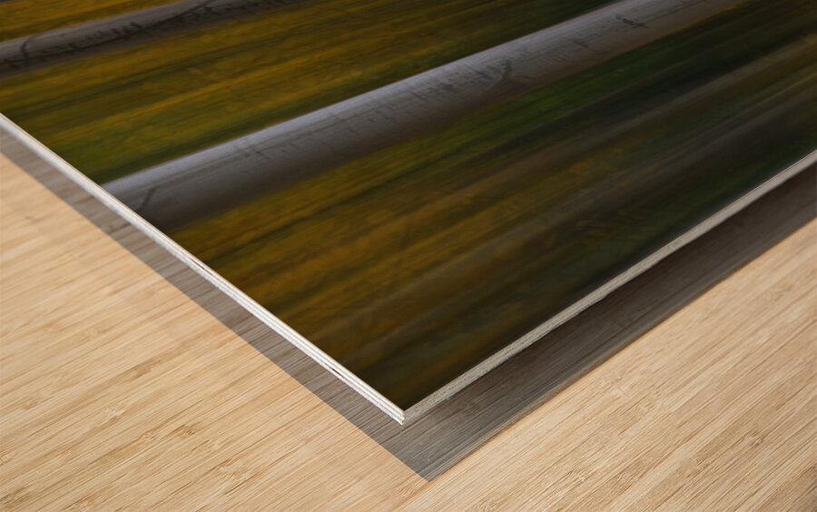 Forest Wilderness Wonderland Abstract  Photo Art Wood print