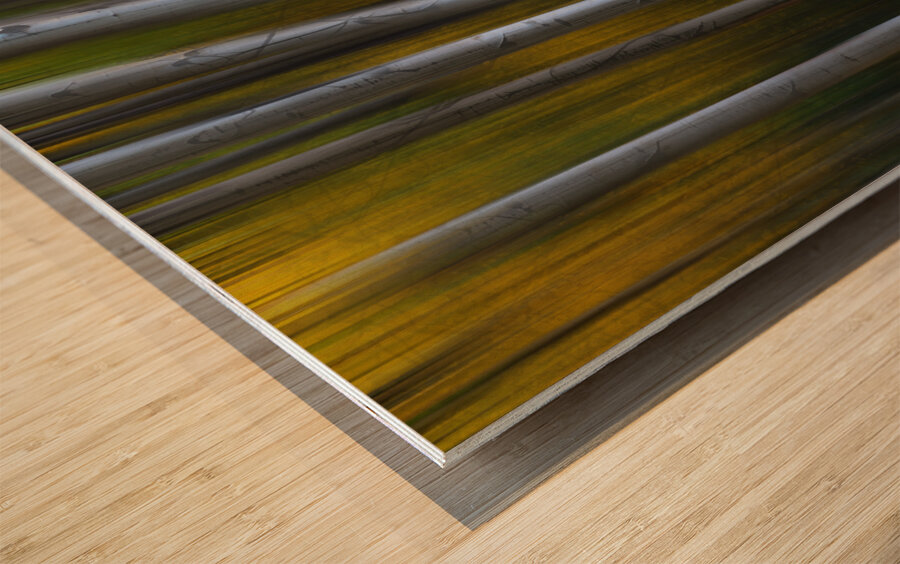 Forest Wilderness Wonderland Abstract  Photo Art Wood print