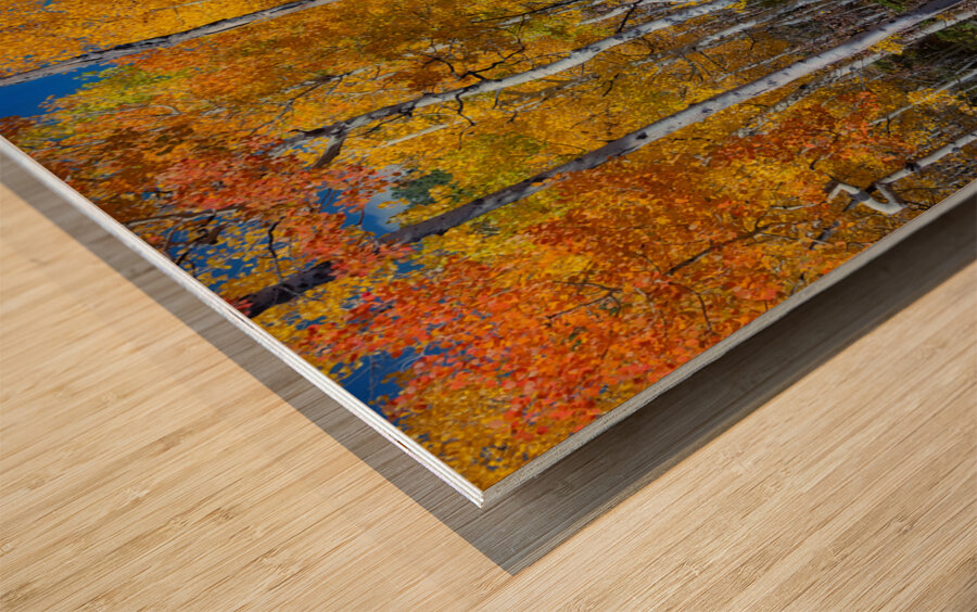 Mix It Up Wood print