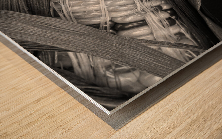 Indian Corn Black and White Impression sur bois