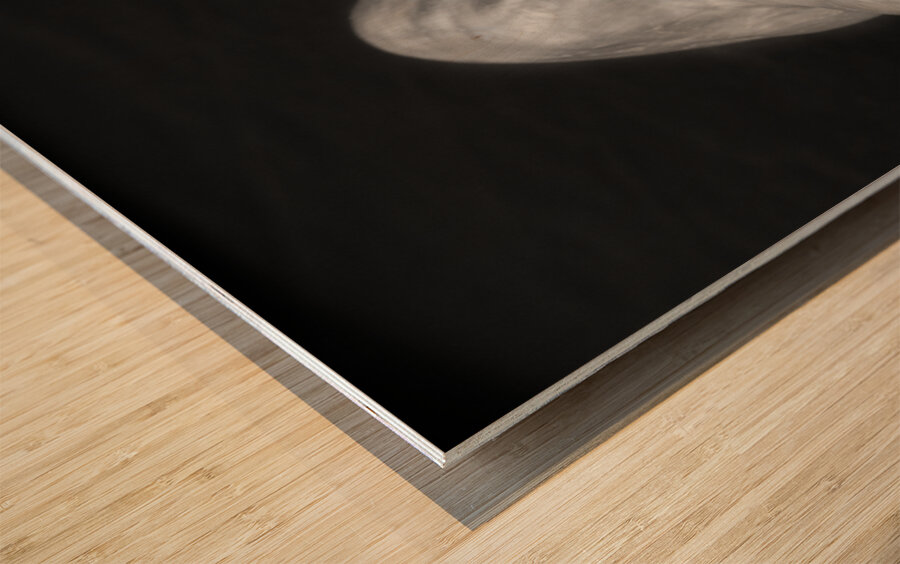 Red Pepper Bringing Sexy Back Black and White Wood print