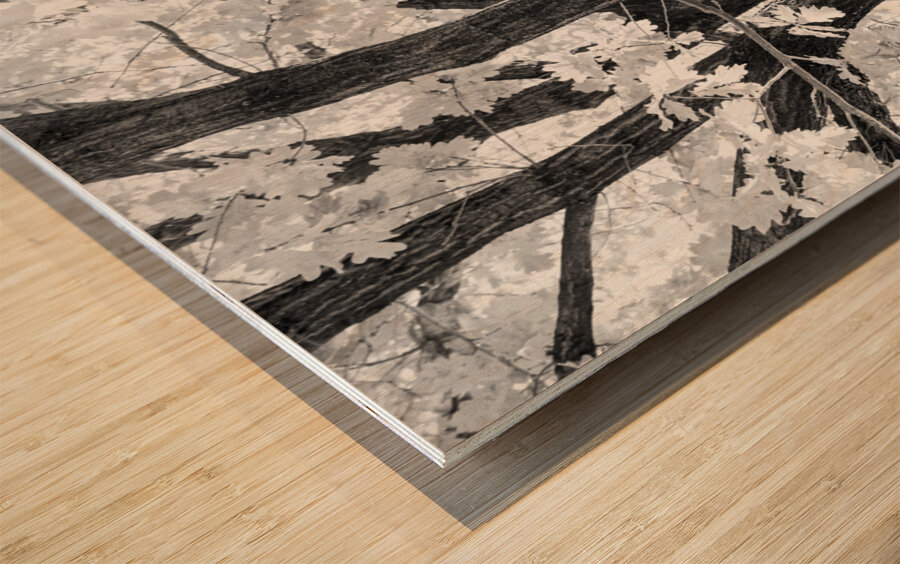 Branching Out in Timeless Black and White Elegance   Impression sur bois