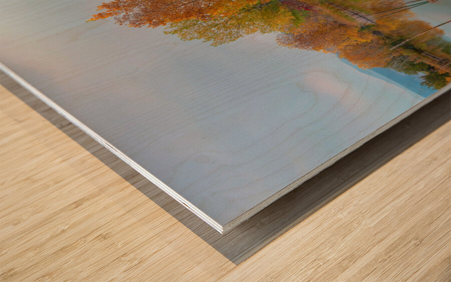 Just Another Beautiful Autumn Reflection Wood print