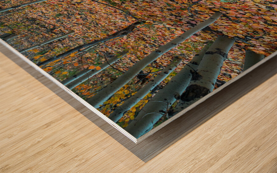 Art By Mother Nature Wood print